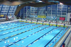 nidducro1-300x200 (1)